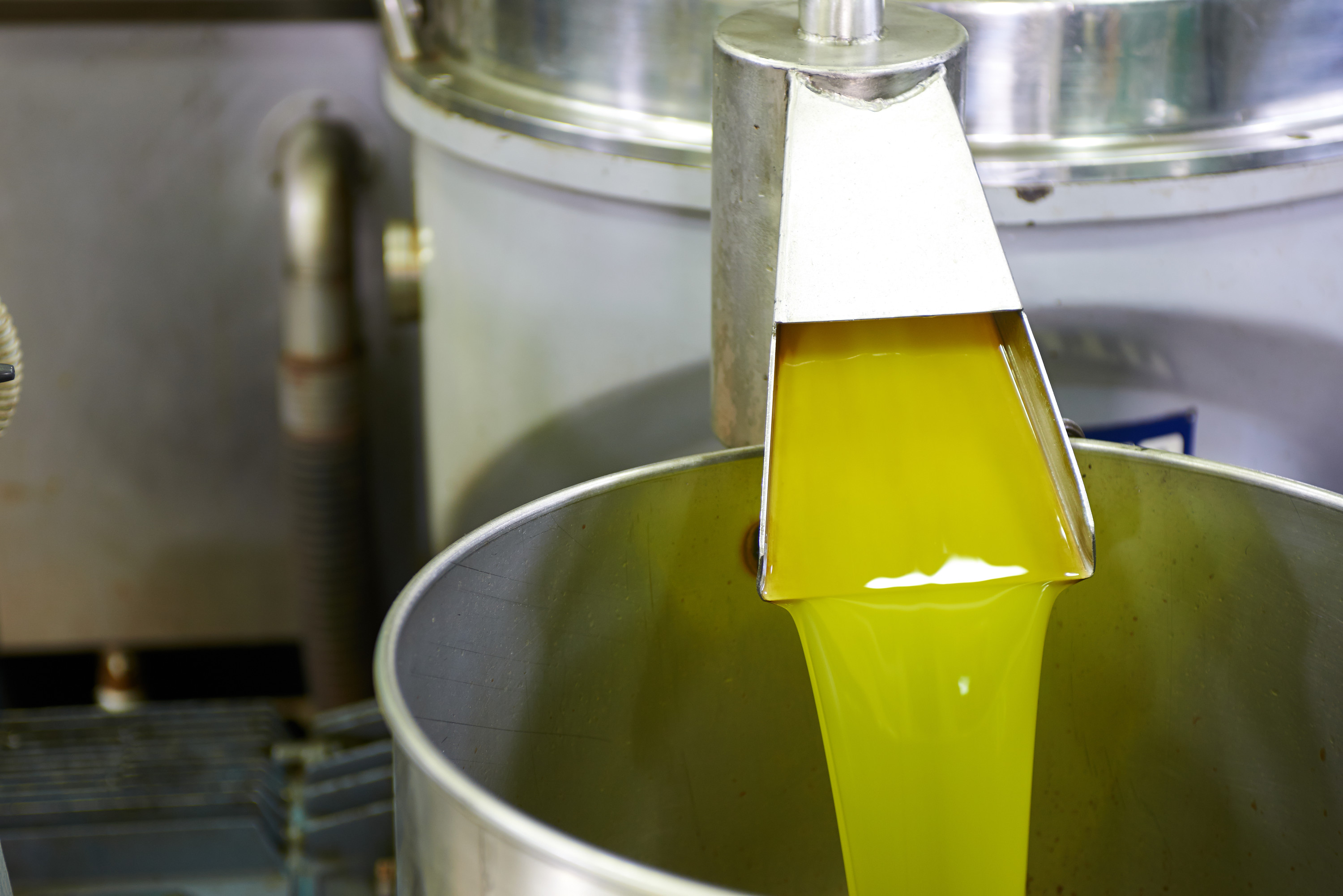 Carmel Engineering - Food/Olive Oil